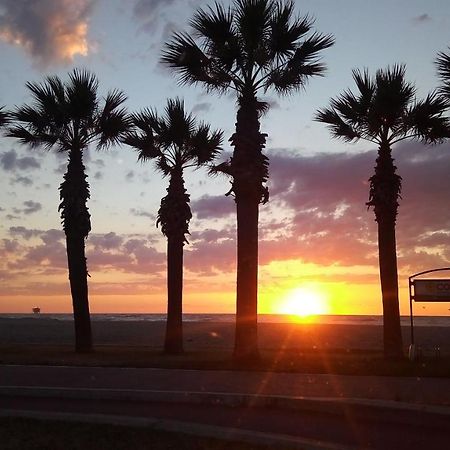 B&B Hibiscus Porto SantʼElpidio Dış mekan fotoğraf